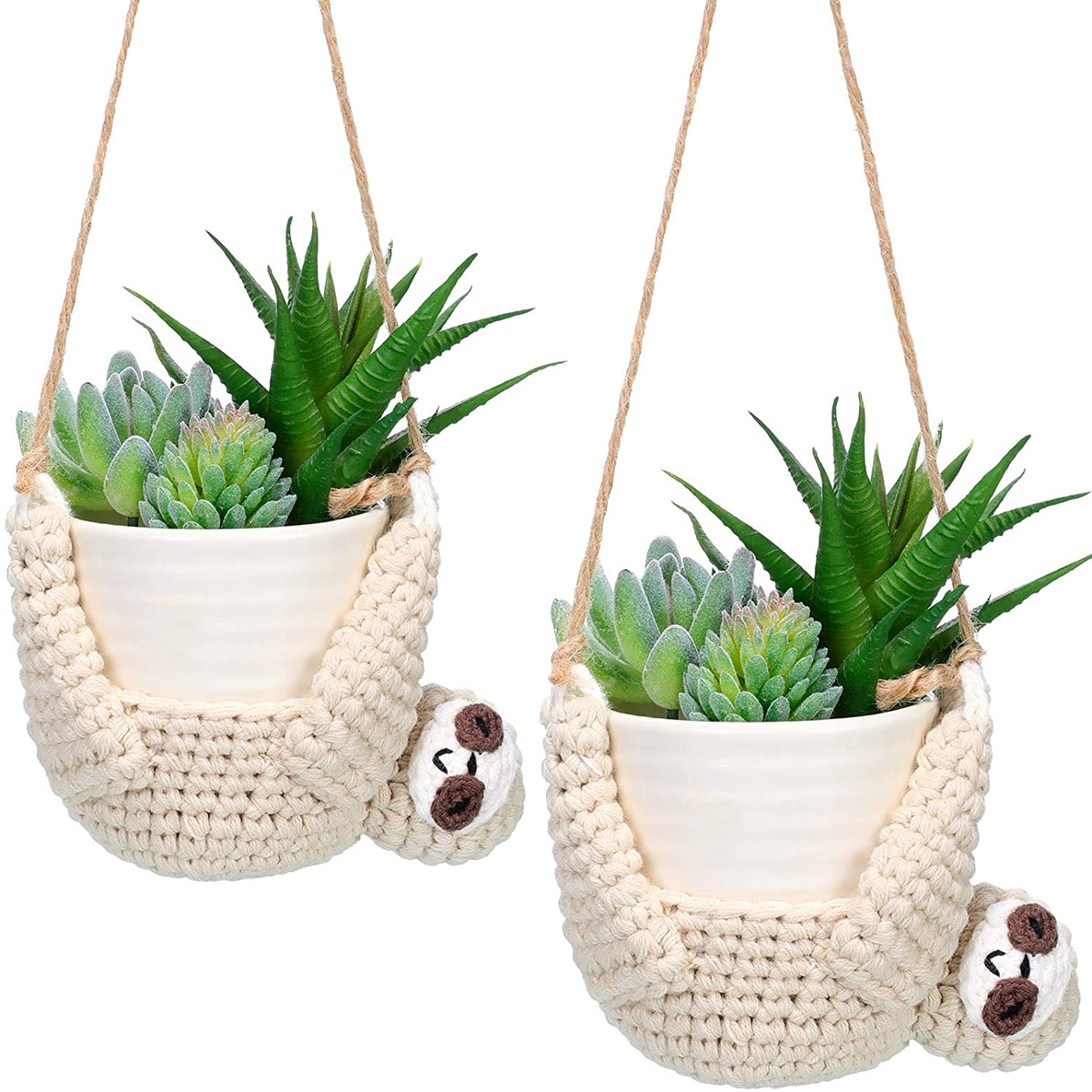 pothos golden plant Pothos Golden – Jungle & Loom main image 0
