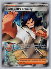 Black Belt's Training 255/217 Ascended Heroes NM