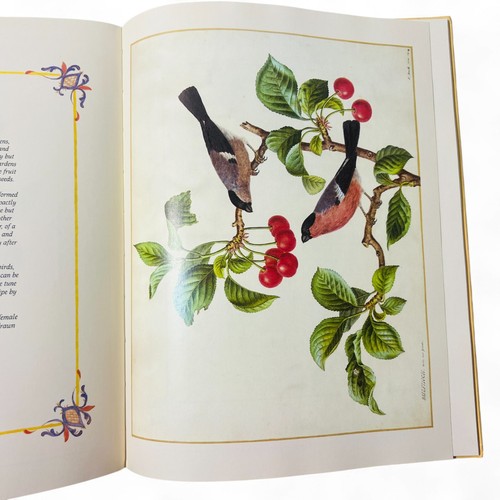 British Birds from Nature – Victorian Art & Notes – Salem House HC Vintage 1985 - Picture 4 of 7