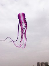 new 3D eyes23m Amethy1 Line Stunt Parafoil Octopus POWER Sport Kite outdoor toy