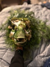 dino mask fursuit head,Mattel , white and green