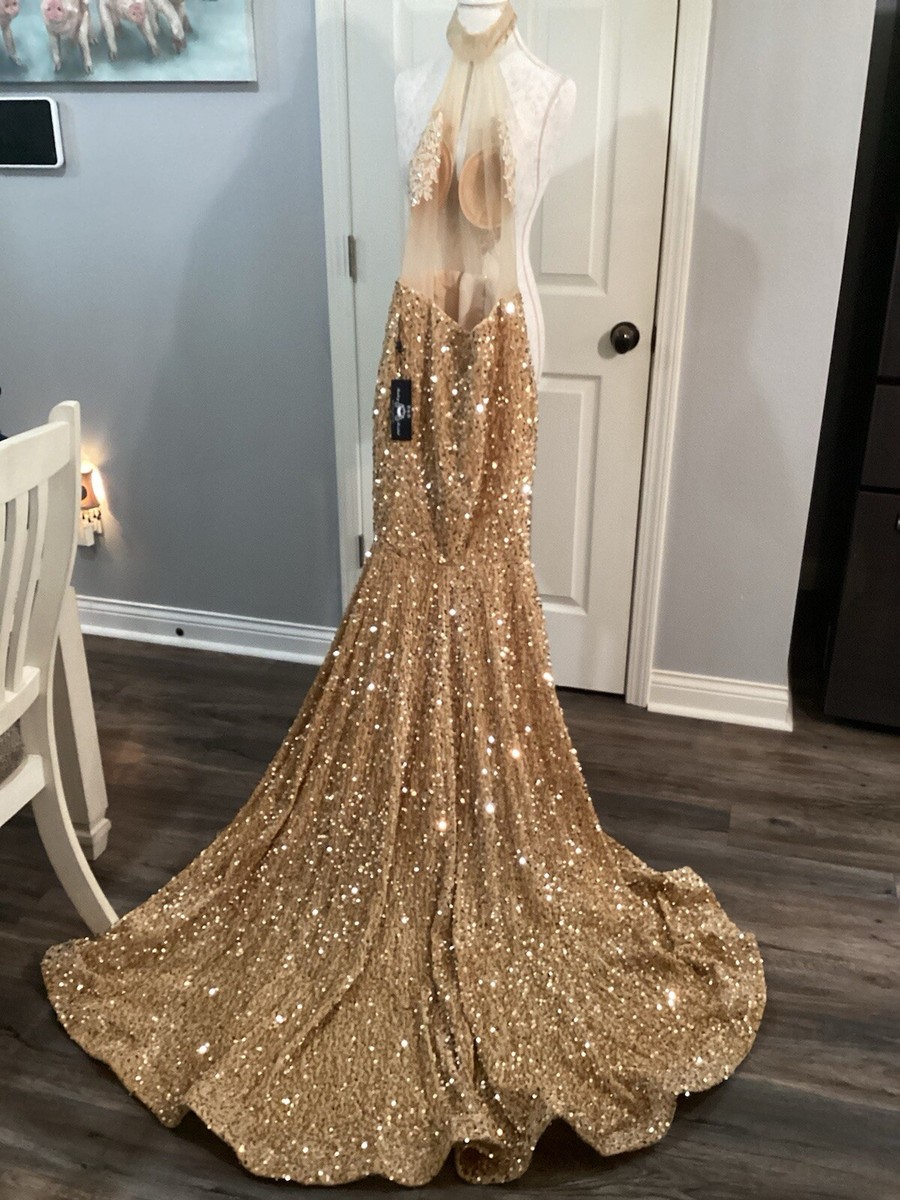long sleeve embellished dress Zeta Sheer Embellished Long Sleeve A-Line Mini Dress in Almond