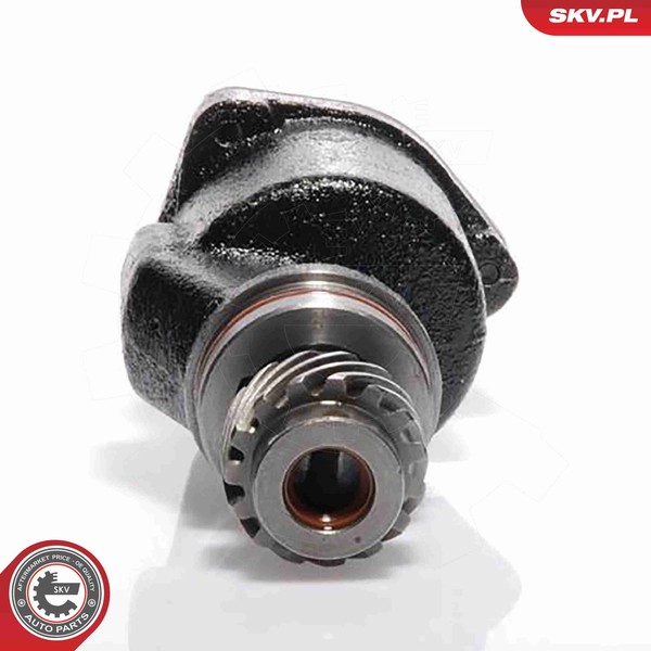 Unterdruckpumpe Bremsanlage Esen SKV 18SKV001 FüR VW Audi Ford Seat Skoda Passat-image