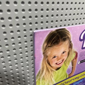 Lego 3187 Friends Butterfly Beauty Shop Instruction Manual Only No Bricks