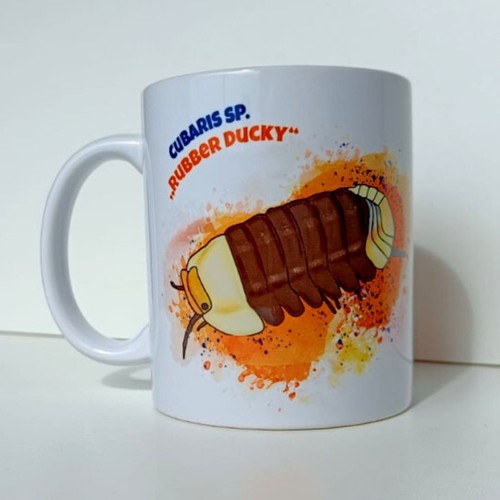 Isopod mug Cubaris sp Rubber Ducky cup - Zdjęcie 1 z 2