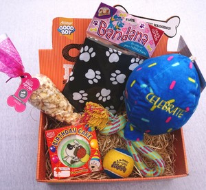 dog birthday gift box