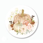 Princess Pumpkins Matte Glittery Autumn Stickers Party Favors Seals Labels