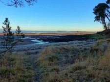 Photo 6x4 Rough grass and beach at Drum Sands Dalmeny This was a bitterly c2017