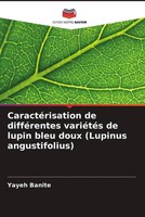 CaractéRisation De DifféRentes VariéTéS De Lupin Bleu Doux (Lupinus...