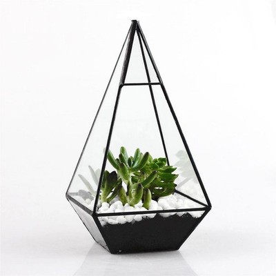 Pyramidenglas Geometrische Terrarie-Box-Tabletop Succulent Planters Black