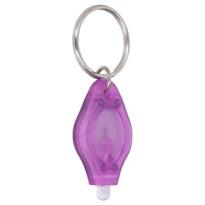 5x UV Mini Keychain 365nm 395nm Wavelength Portable LED Purple Light UV LED SET