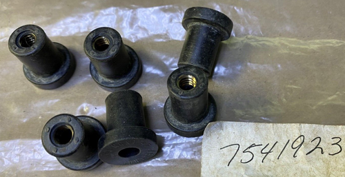 Polaris OEM Well Nut x6 Snowmobile Widetrak IQ Shift Frontier RMK XLT + 7541923 - 第 1/1 張圖片