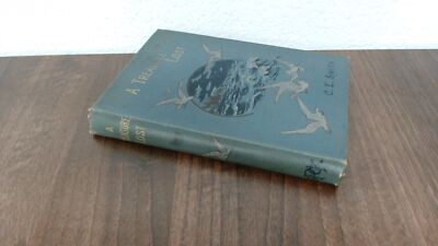 			A Treasure Lost, CE Smith, SPCK, Hardcover		