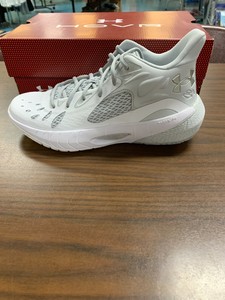 ua tb hovr havoc shoes