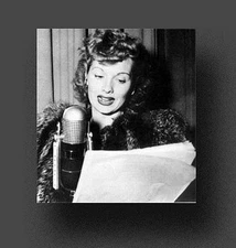 MY FAVORITE HUSBAND Old Time Radio Shows - 113 MP3s on CD OTR +FREE OFFER