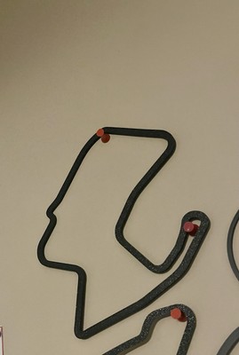 Laguna Seca 3D Printed Track Outline - IndyCar/IMSA Wall Art