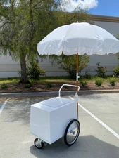 Paleta Cart Mobile Cooler Cart Frozen Treats Vendor Catering Parties Events Fair