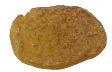 Play Food Toasted English Muffin