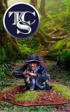 VIETNAM WAR VIET CONG THE COLLECTORS SHOWCASE CS01159 FREE USA SHIPPING 