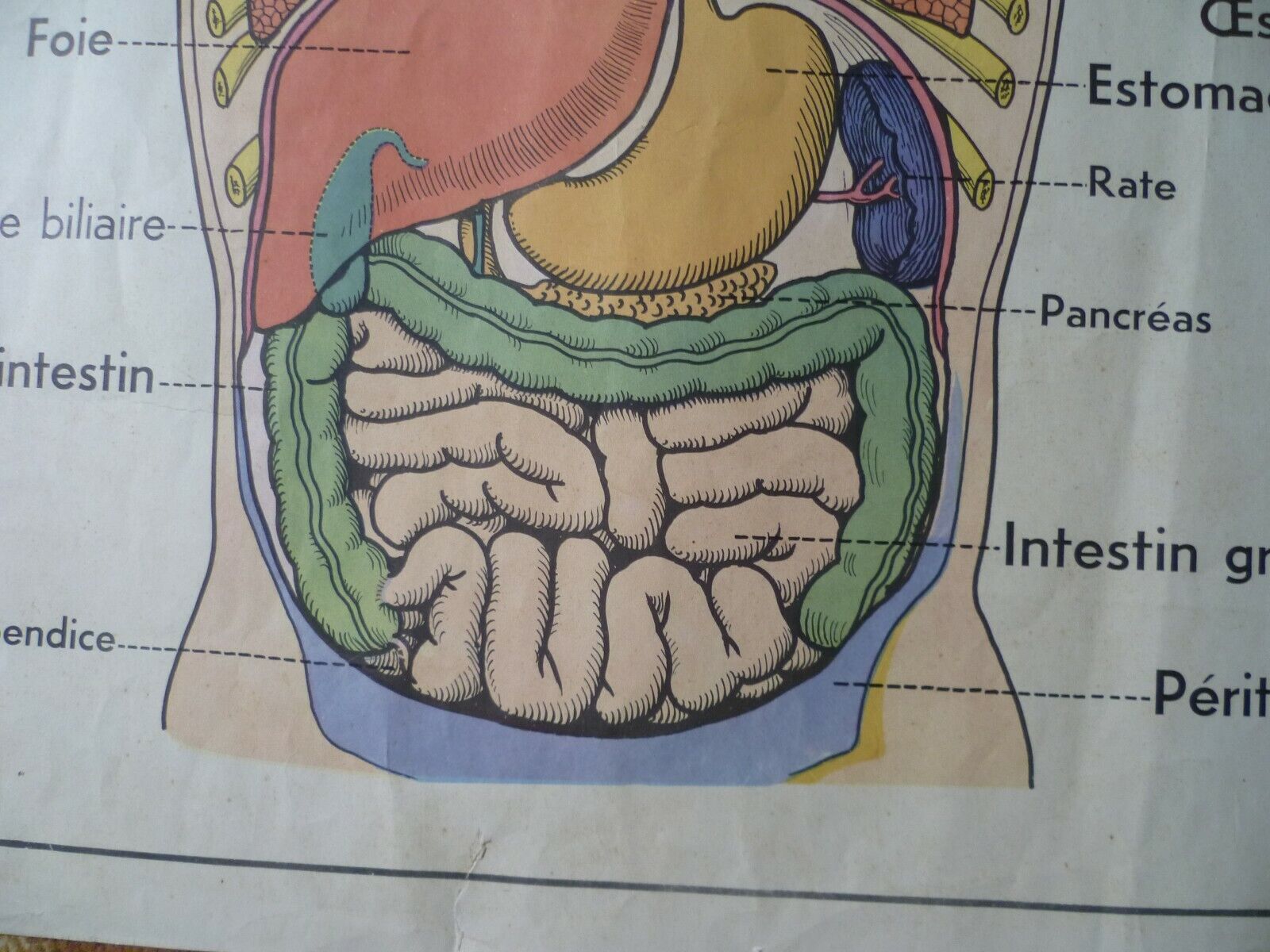 Foto 8 di 12