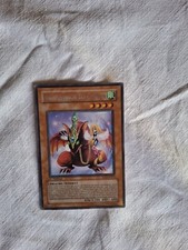 Babyspieldrache Der Harpien Eoj