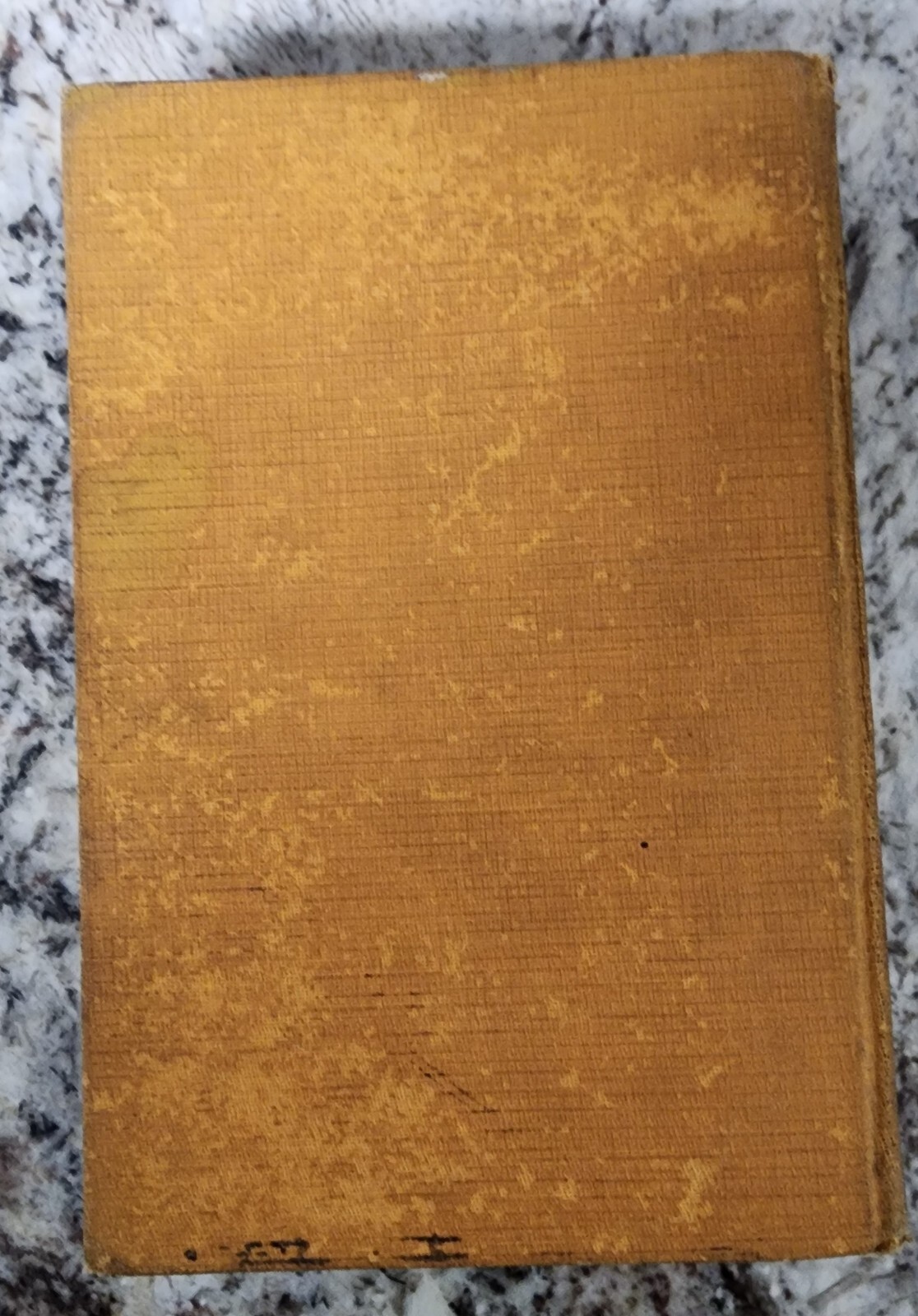 Picture 5 of 7