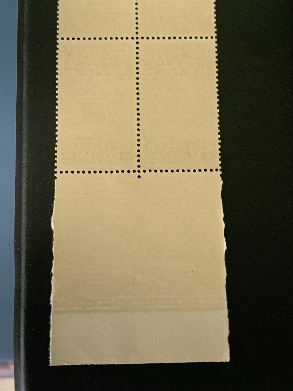 Picture 5 of 5