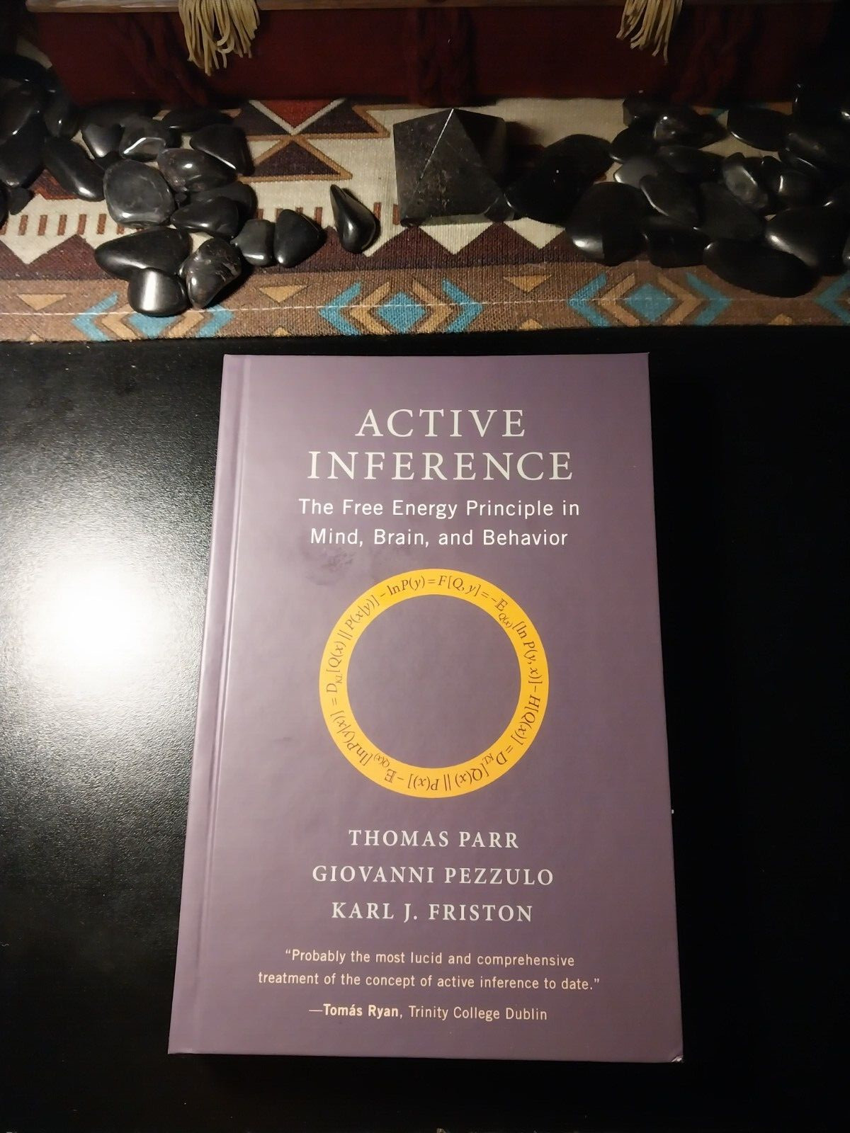 Active Inference: The Free Energy Principle in Mind Brain by Thomas Parr