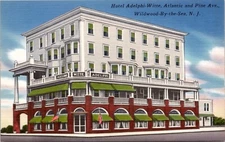 Hotel Adelphi Witte, Atlantic & Pine Wildwood-By-the-Sea N. J. Postcard Spc9