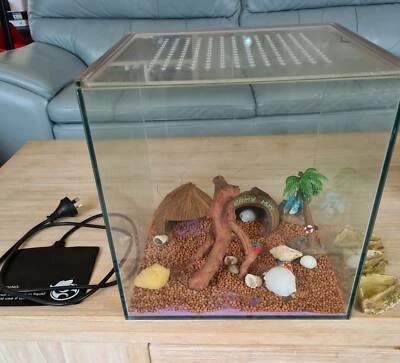 hermit crab tank accessories