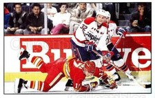 1989-90 Panini Stickers #343 Dale Hunter, Jiri Hrdina