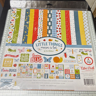 Echo Park Paper Co.  Little Things Mean a Lot  Bugs Scrapbook Collection Kit