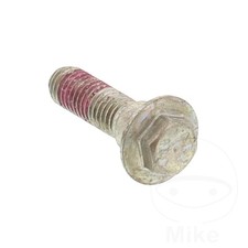 Original Brake Disc Bolt M8