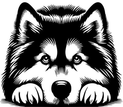 ALASKAN MALAMUTE Aufkleber - Autoaufkleber - sticker - Malamute Kopf #24