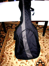 First Act Acoustic Guitar With Strap-adjastable And Guitar Case