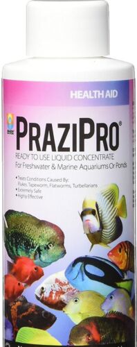 Hikari Prazipro PRO 1 oz parasites le plus sûr meilleur traitement antiparasitaire sur le marché - Photo 1 sur 1