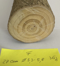 Gingko Holz zum Drechseln Schnitzen Basteln 27 x 5,6 cm