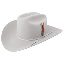 Stetson Rancher Silver Grey 6X 4" Brim - Hat Felts - Sfrnch-014088
