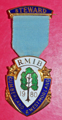 1980 Royal Masonic Institution for Boys Stewards Jewel RMIB ****