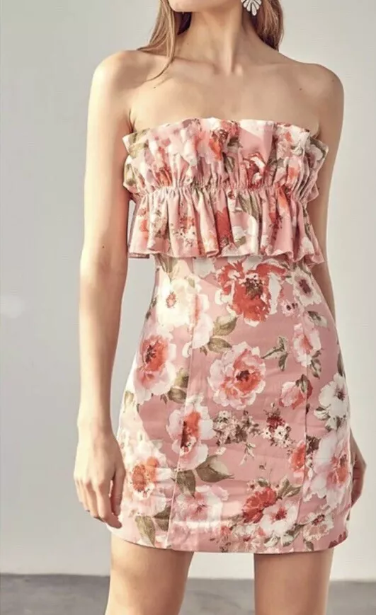 DO+BE Rose Mini Dress With French Ruffle NWT Size Small Blush Pink Rose