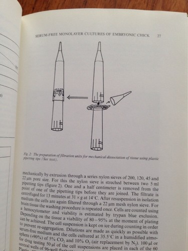 The Brain in Bits and Pieces 1992 HB Book Gerhard Zbinden, M.D. Neurobiology + - Imagen 4 de 12