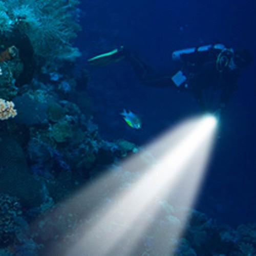 Scuba Diving Waterproof Flashlight LED Light Deep Professional Underwater Torch - Picture 18 of 23