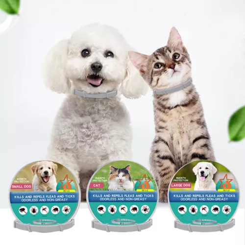 8 Monate Schutz Anti-Insekten-Floh und Zeckenhalsband für Haustier Katzen Hund - Bild 4 von 23