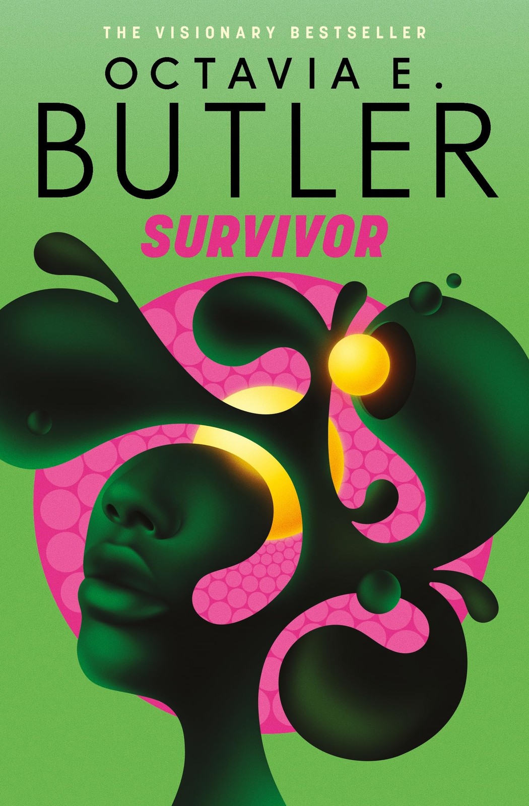 Survivor - Image 5