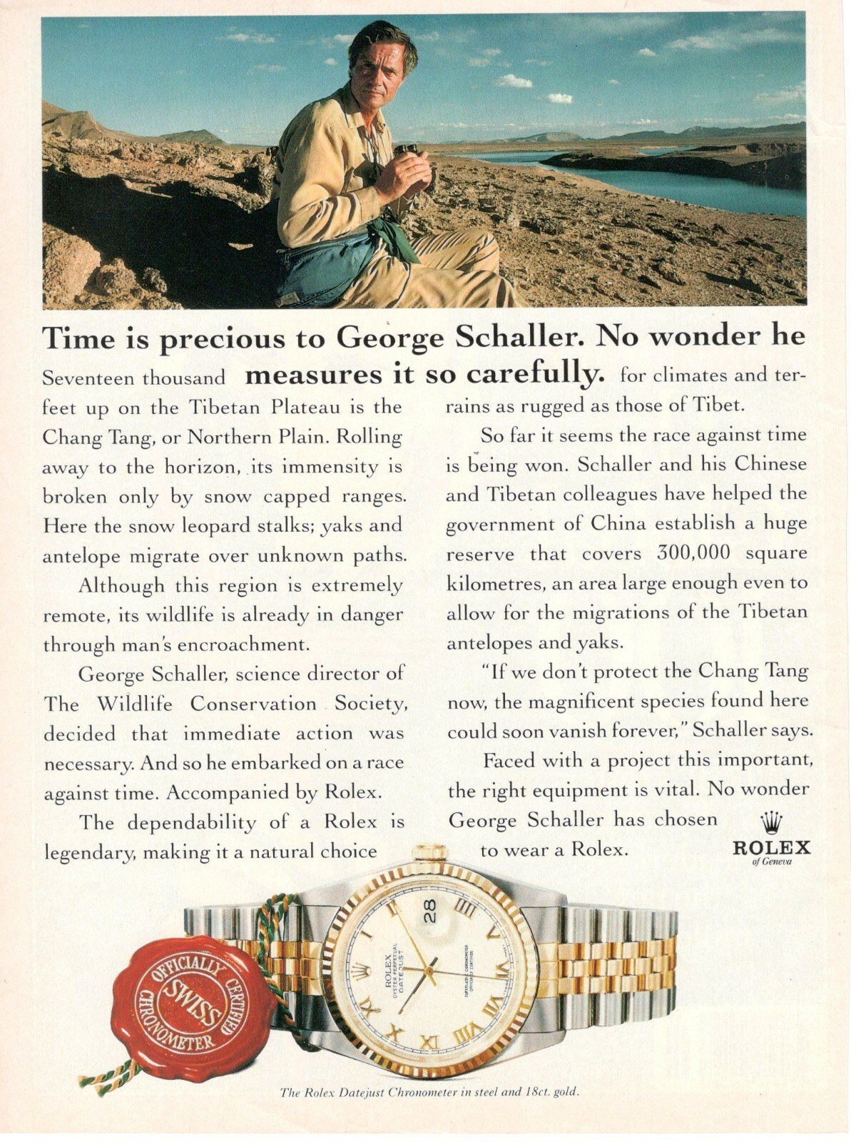ROLEX OROLOGIO DATEJUST Originale Pubblicita' 1 pagina BIOLOGO GEORGE SCHALLER