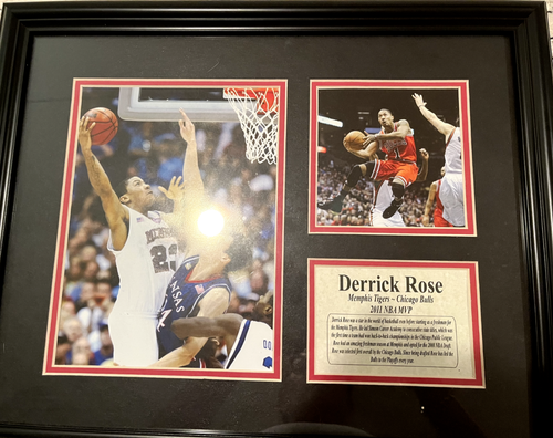 Derrick Rose COLLECTIBLE Framed Photographs Memphis Tigers Chicago Bulls NBA