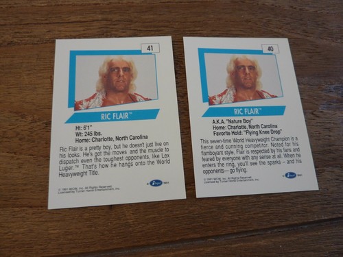 Impel WCW Weltmeisterschaft Wrestling Karten von 1991 - fast neuwertig! Karten auswählen! - Bild 7 von 12