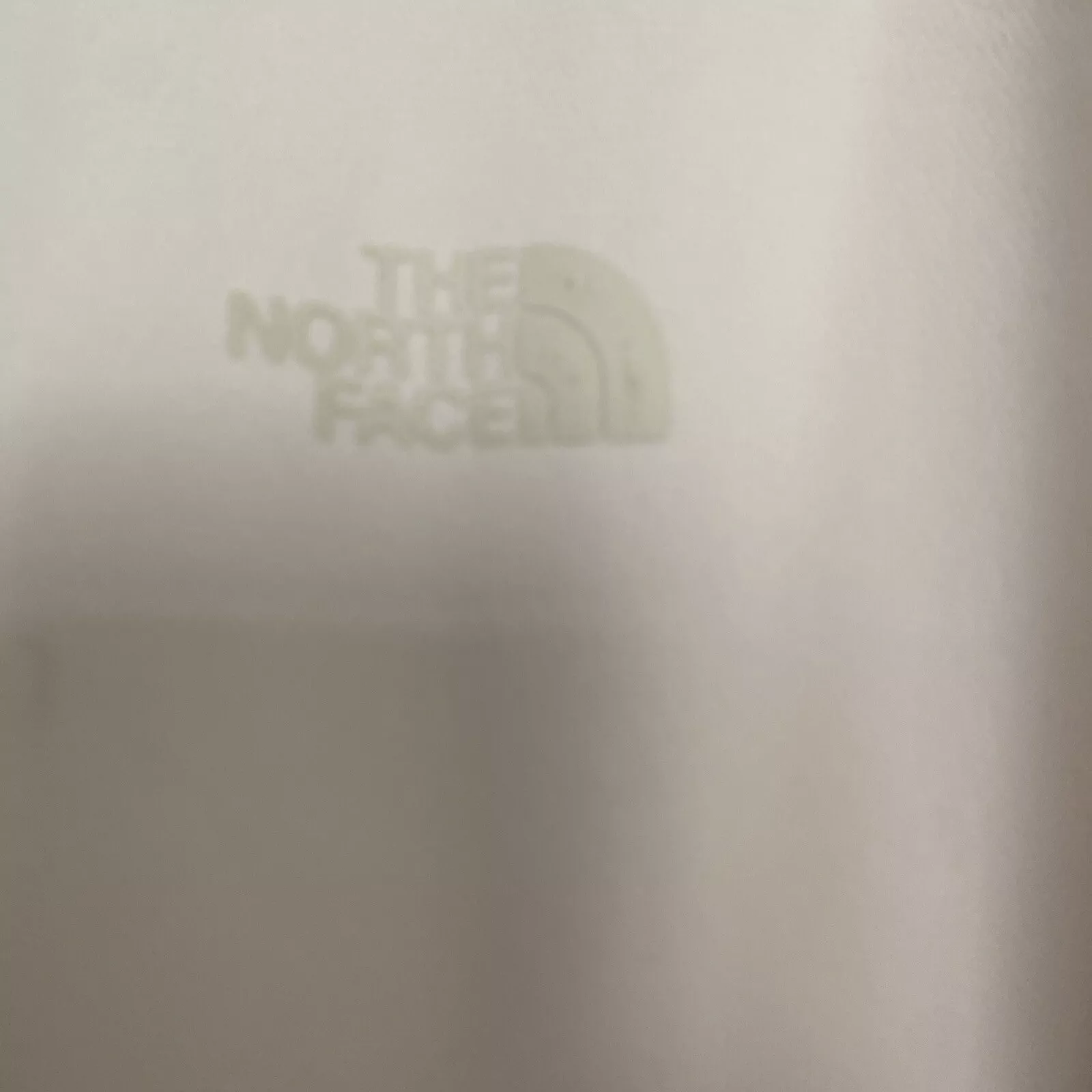 north-face lined hooded jacket