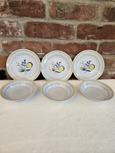 Vintage Arabia Finnland WINDBLUME Brot & Butter Salat Vorspeise Teller Set 6