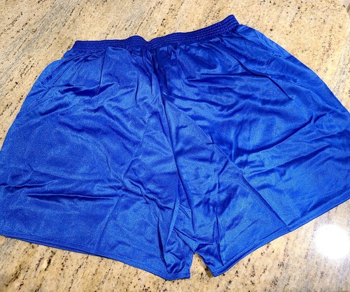 Vtg Dolfin Womens L Nylon Shiny Lined w/ Liner Pocket Split Running Shorts Blue - Picture 2 of 10